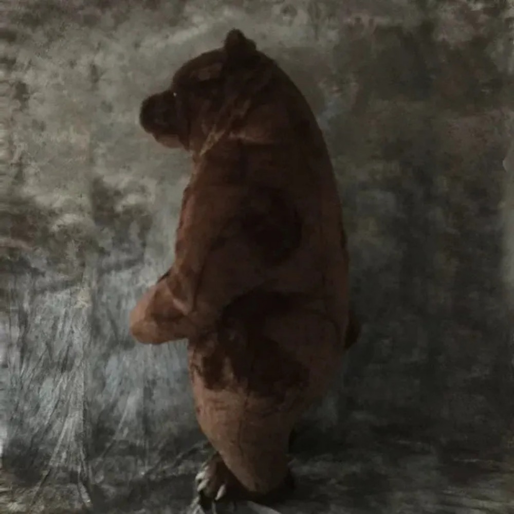Inflatable Brown Bear Mascot C - Chargers 评论和价格